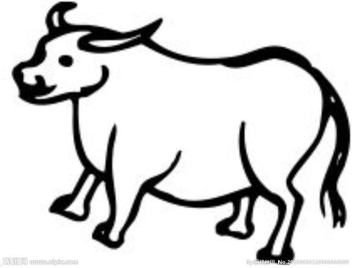 華威網(wǎng)絡(luò)